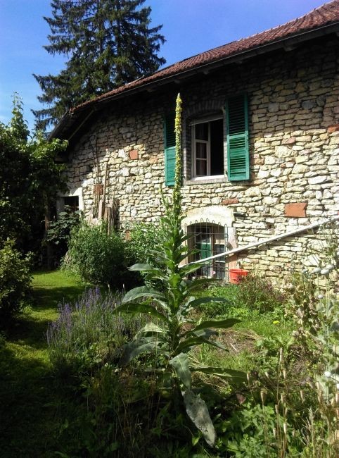 Ancienne scierie